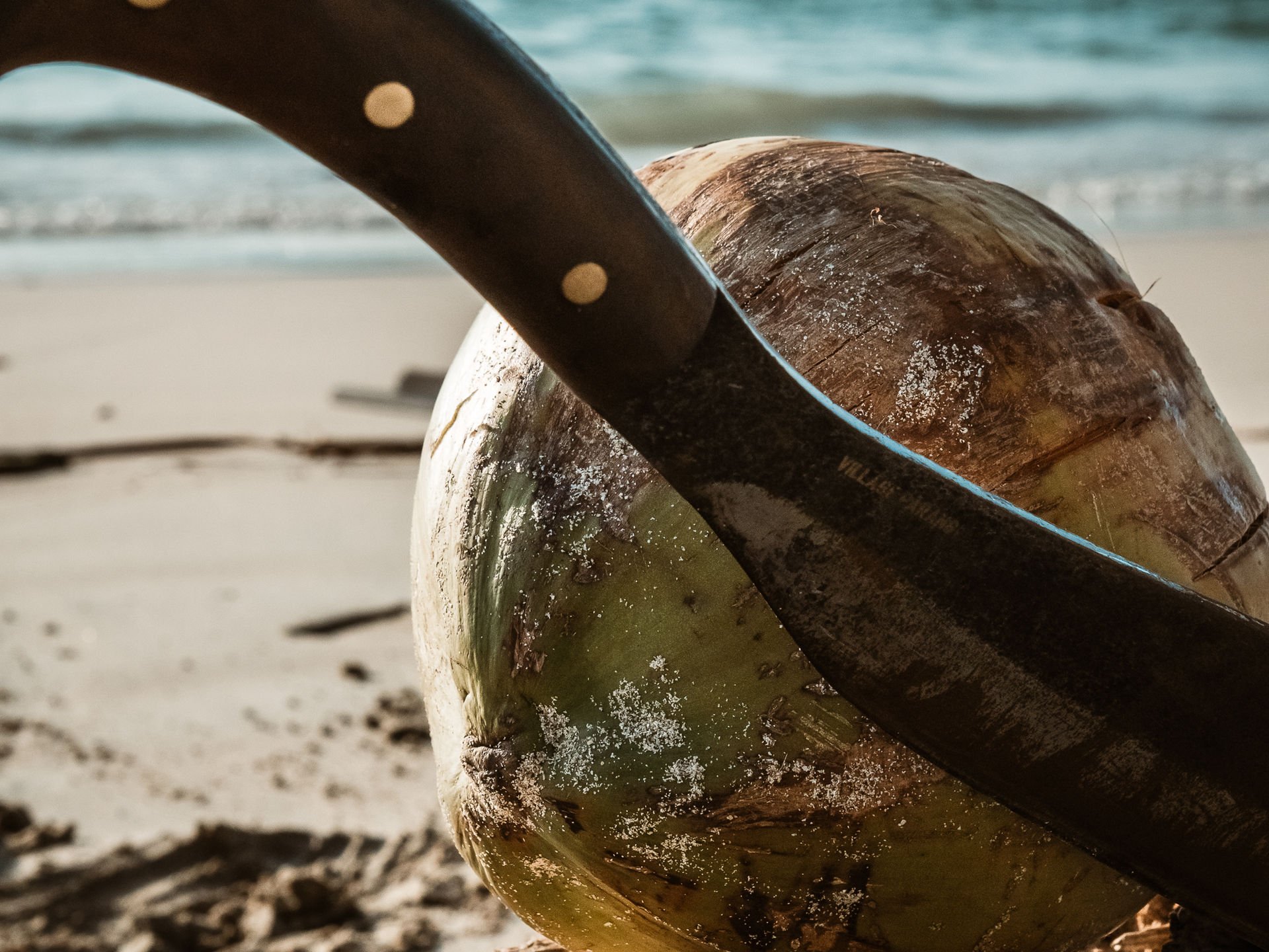 Survival camp in the jungle