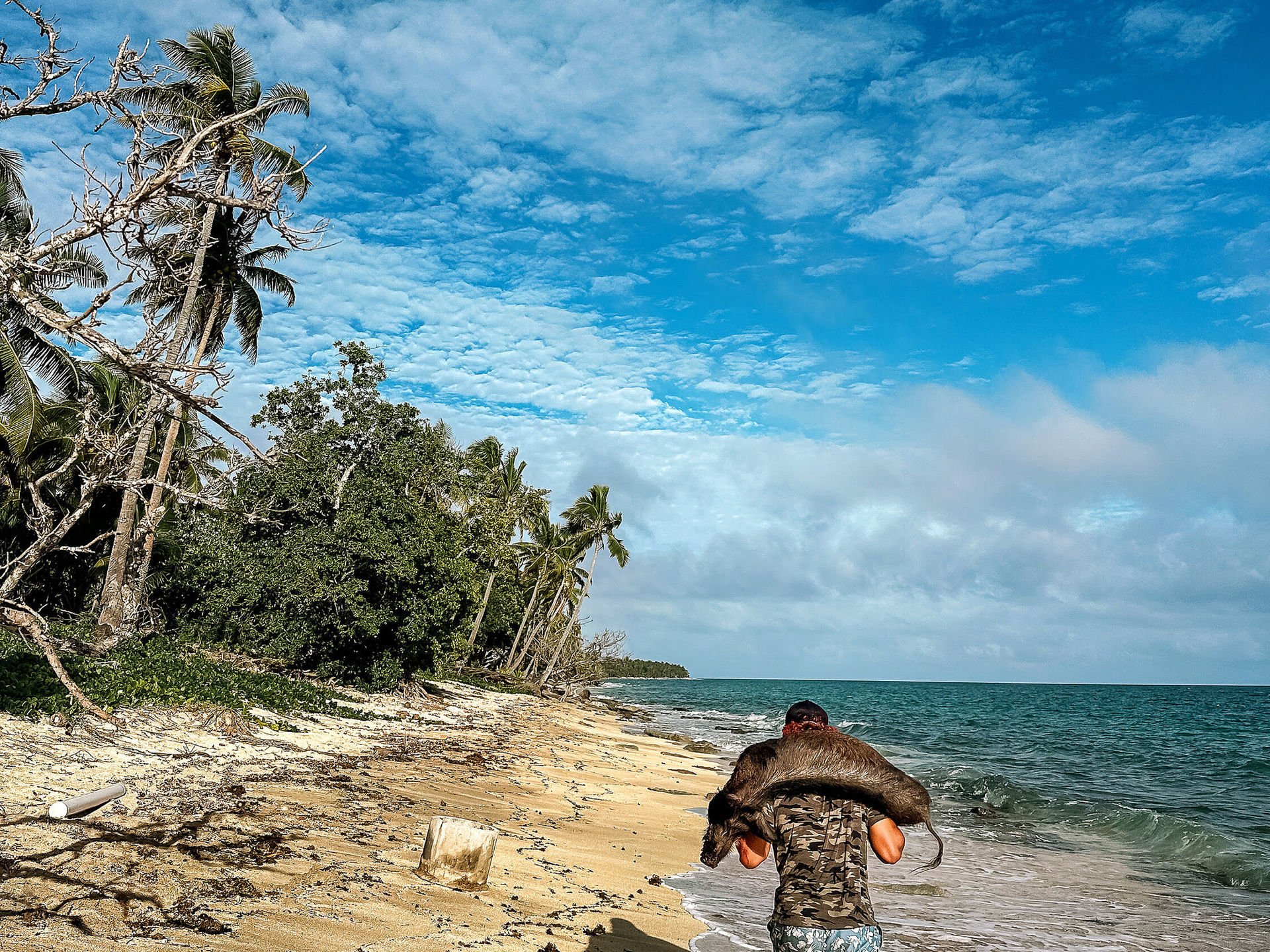 Woman foraging plants in the jungle