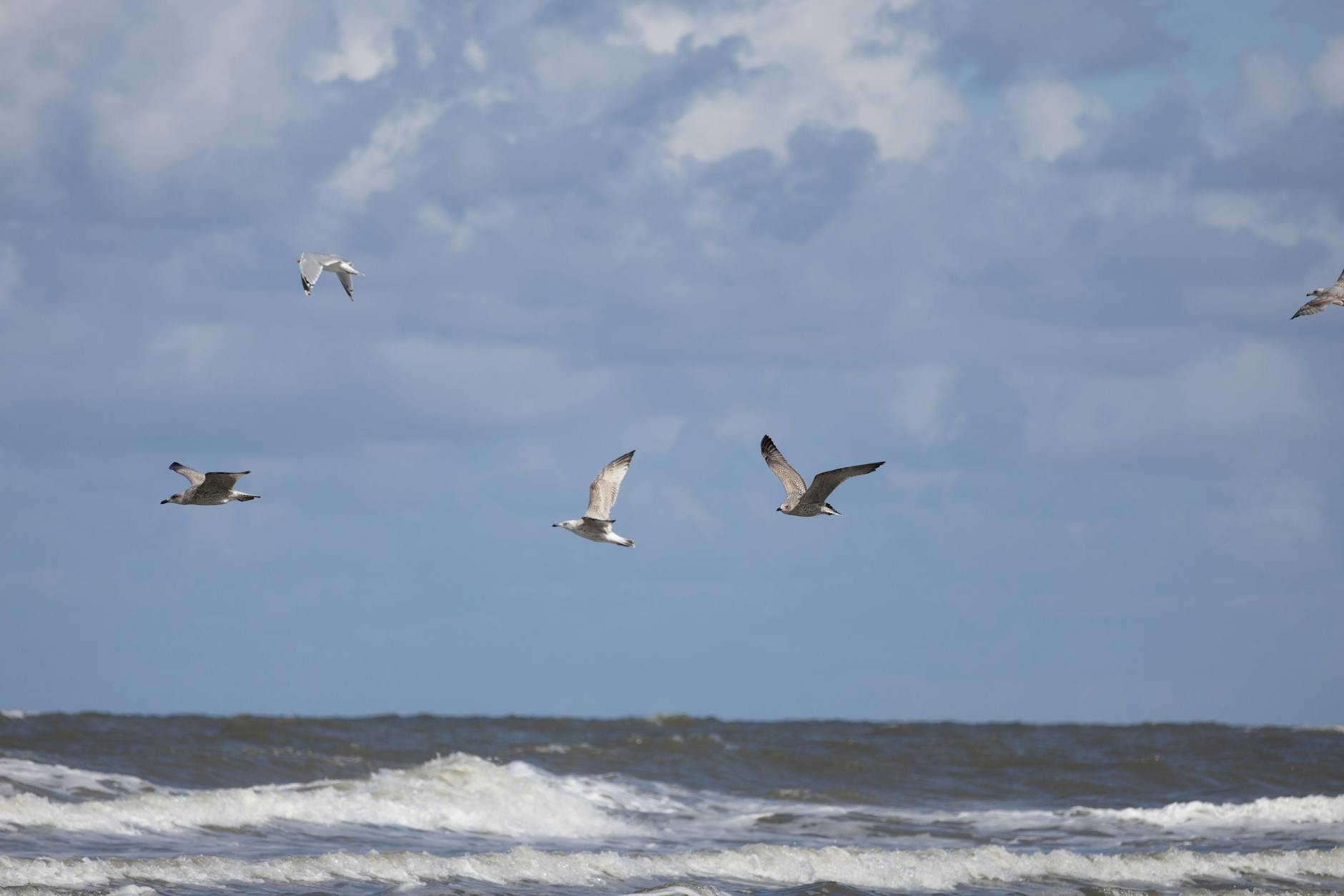 Exmouth, Australia — photo 4