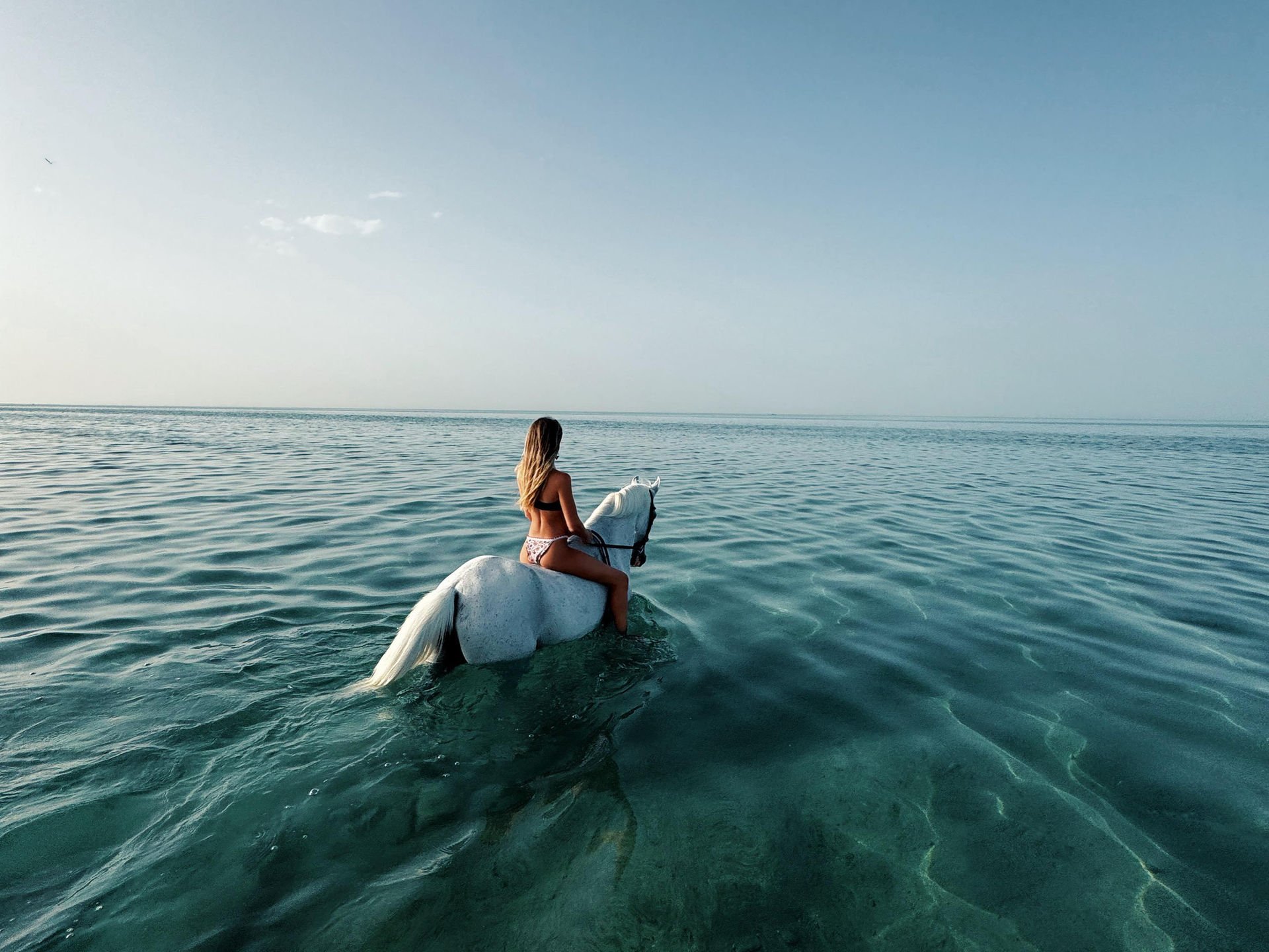 El Gouna kitesurfing action