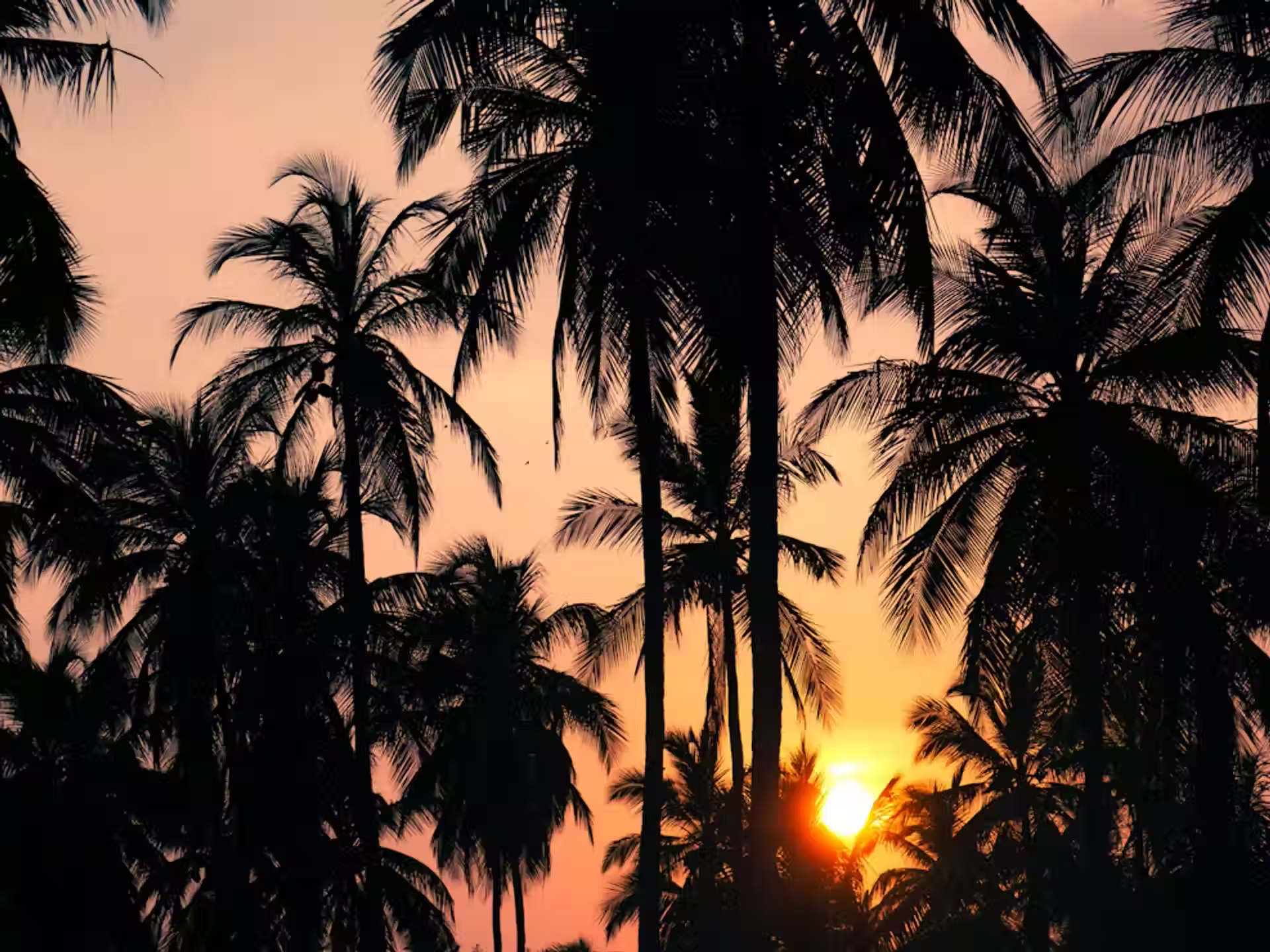 Kalpitiya kitesurfer on lagoon