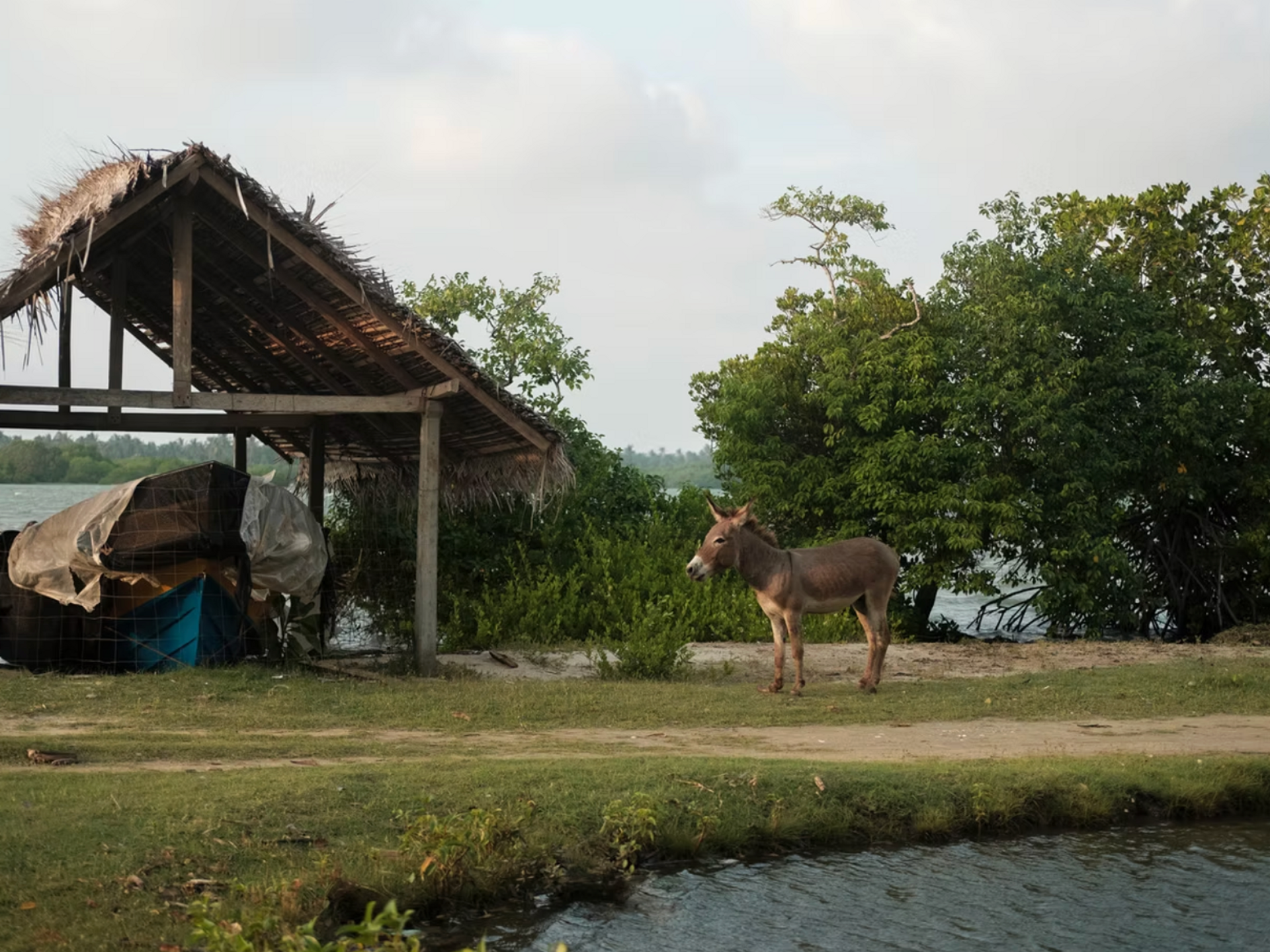 Kalpitiya community activities