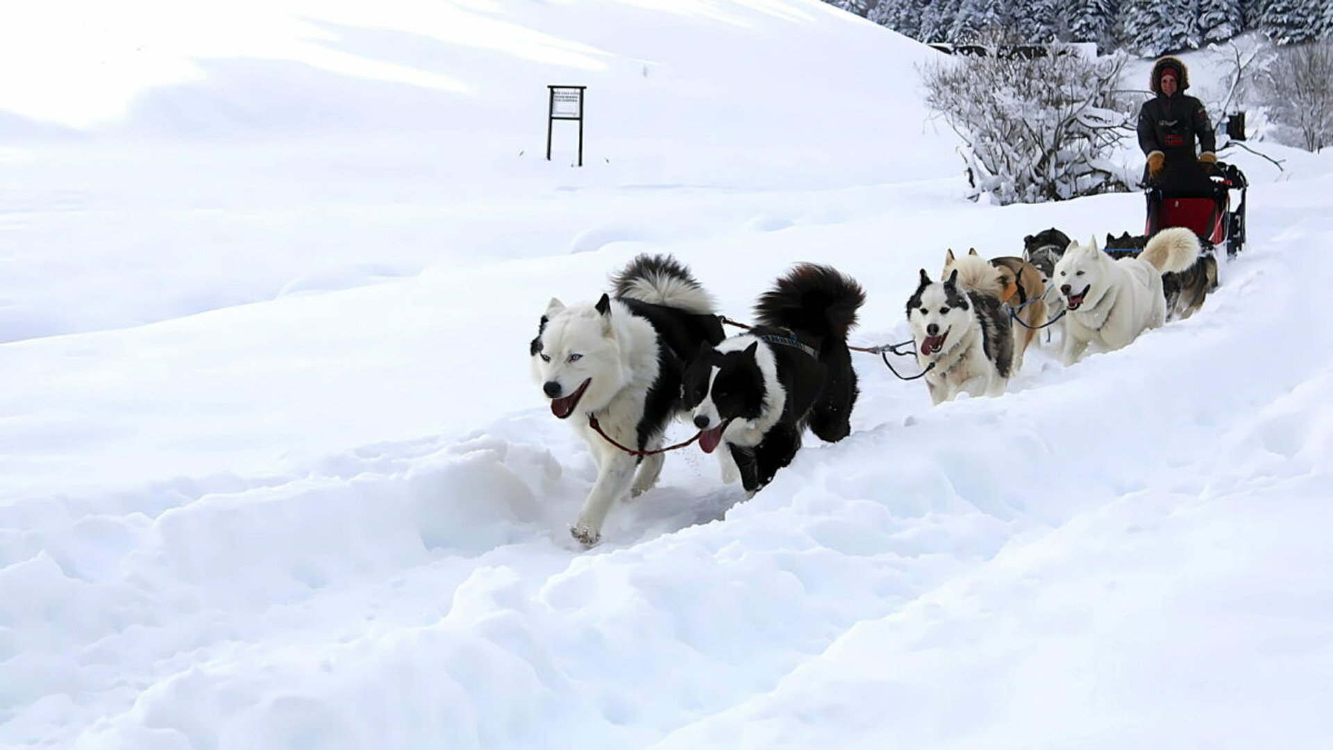 Off-Slope Activities