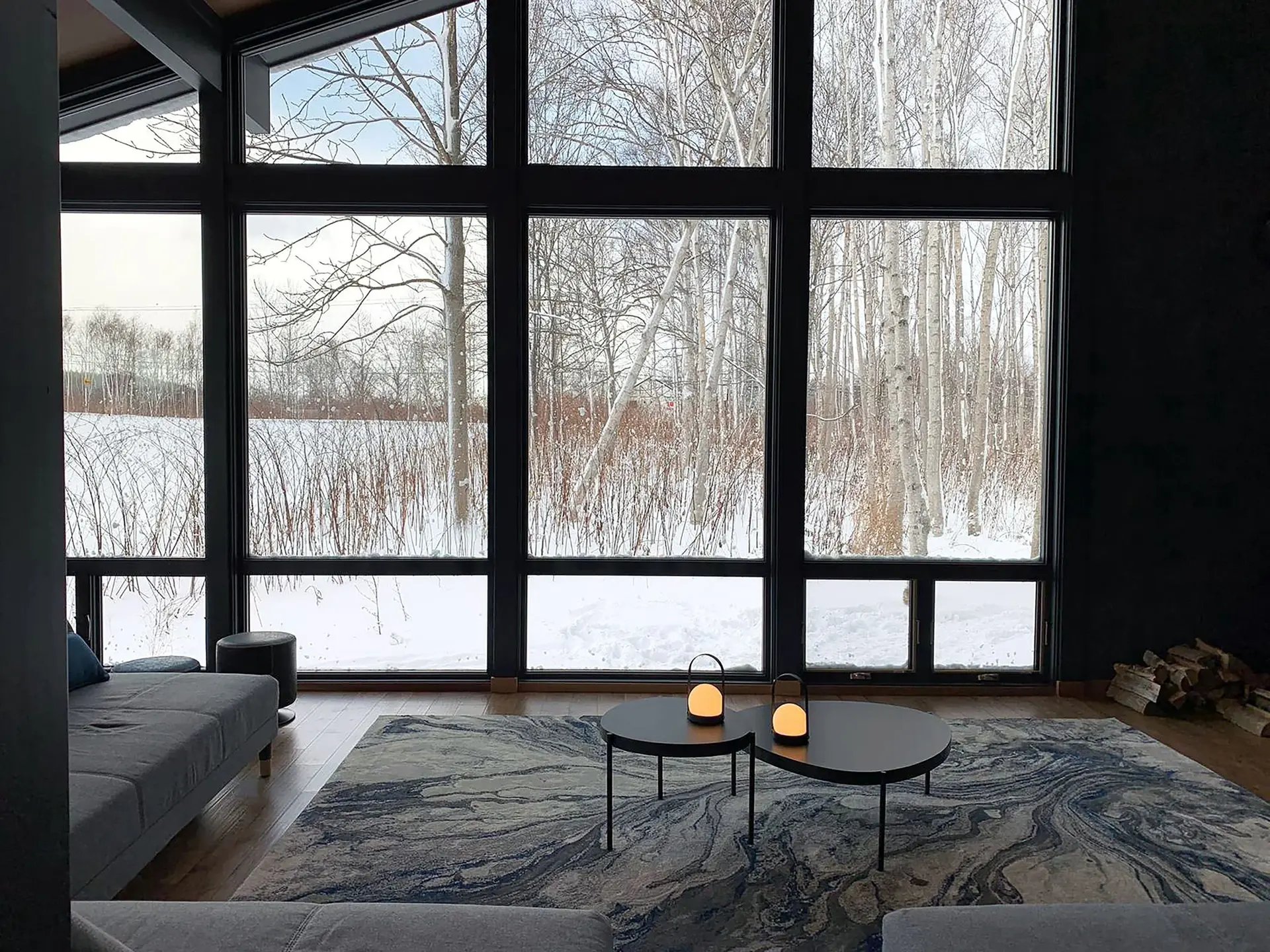 Niseko chalet among winter birch trees