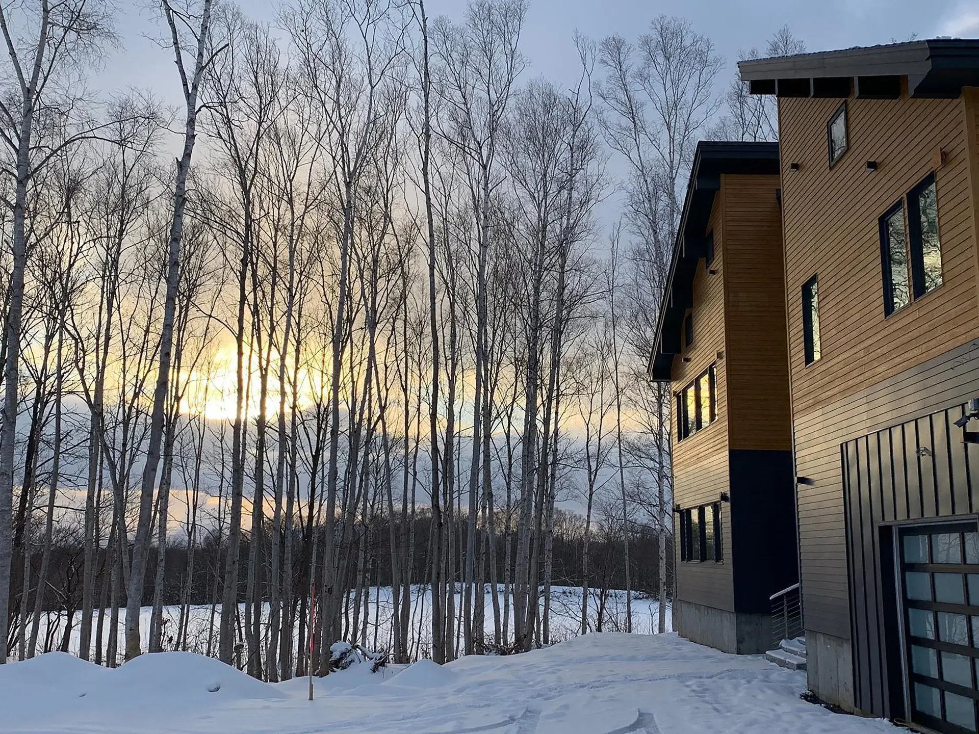 Niseko chalet among birch trees at sunset