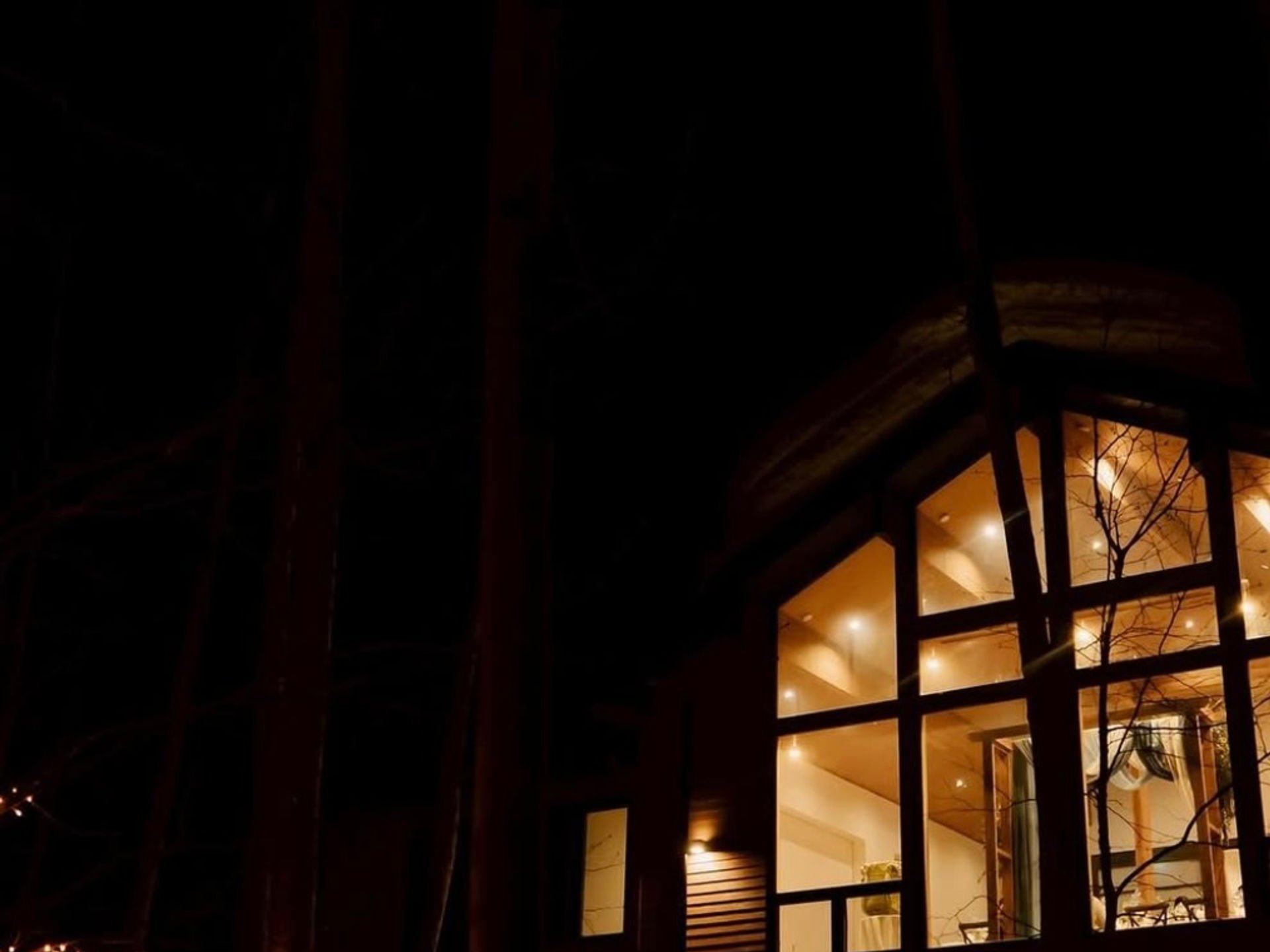 Niseko chalet night glow through trees