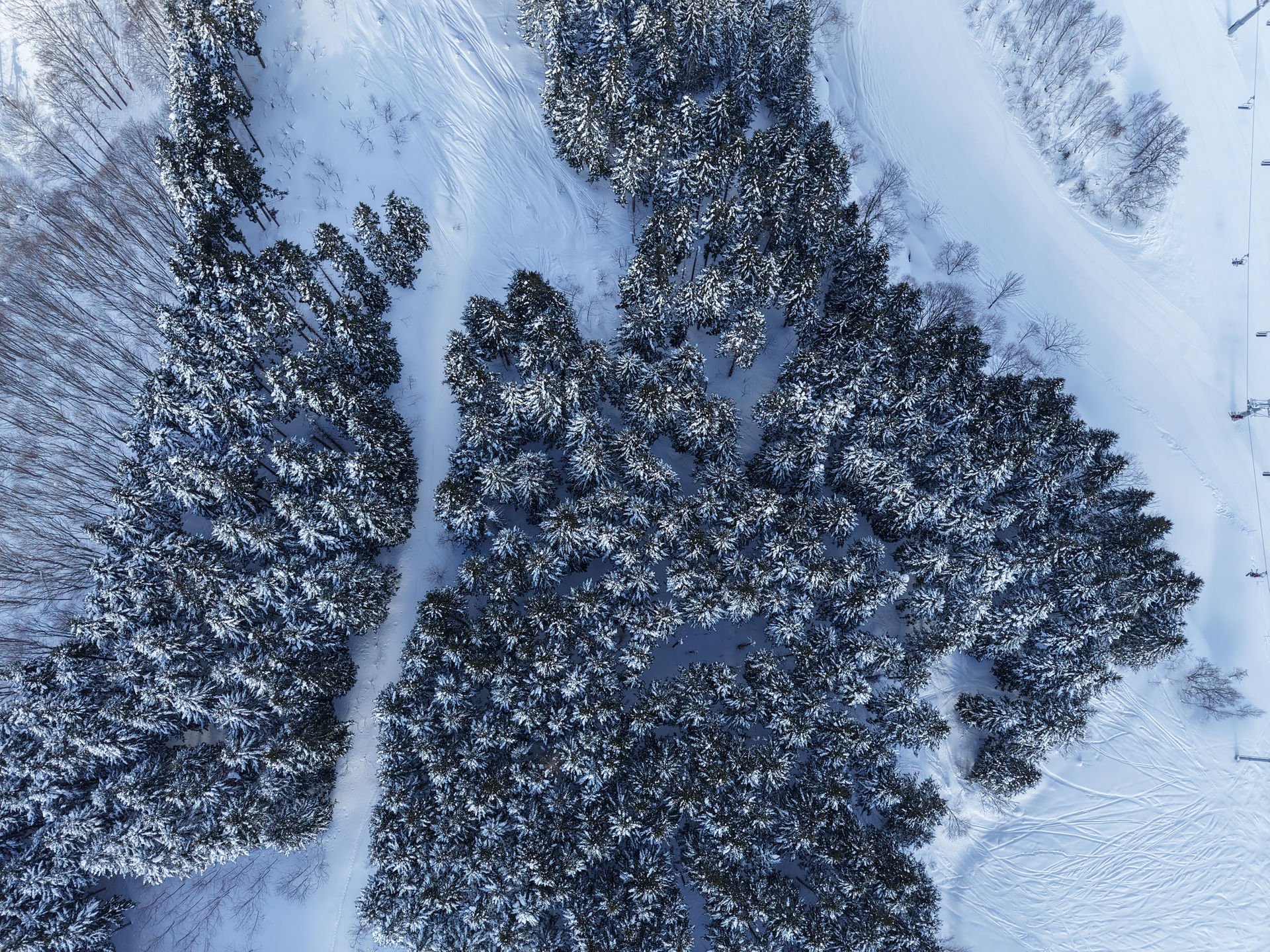 Niseko chalet winter scene