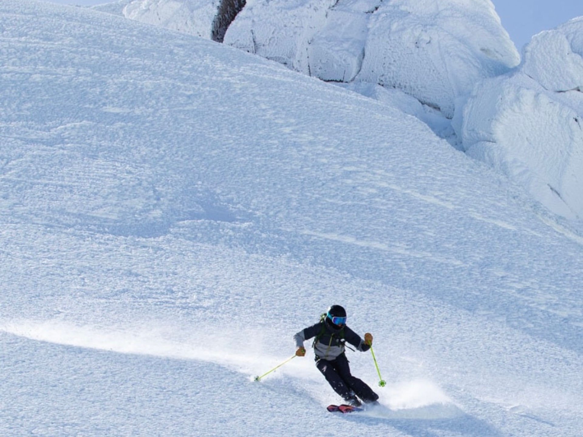 Niseko snowy forest landscape
