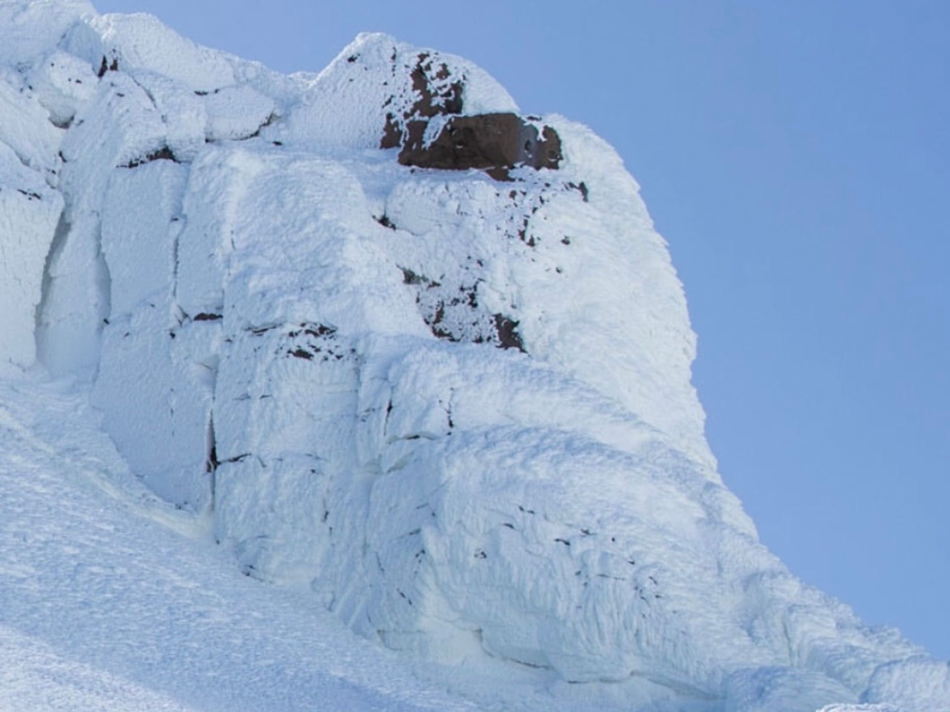 Niseko powder snow scene