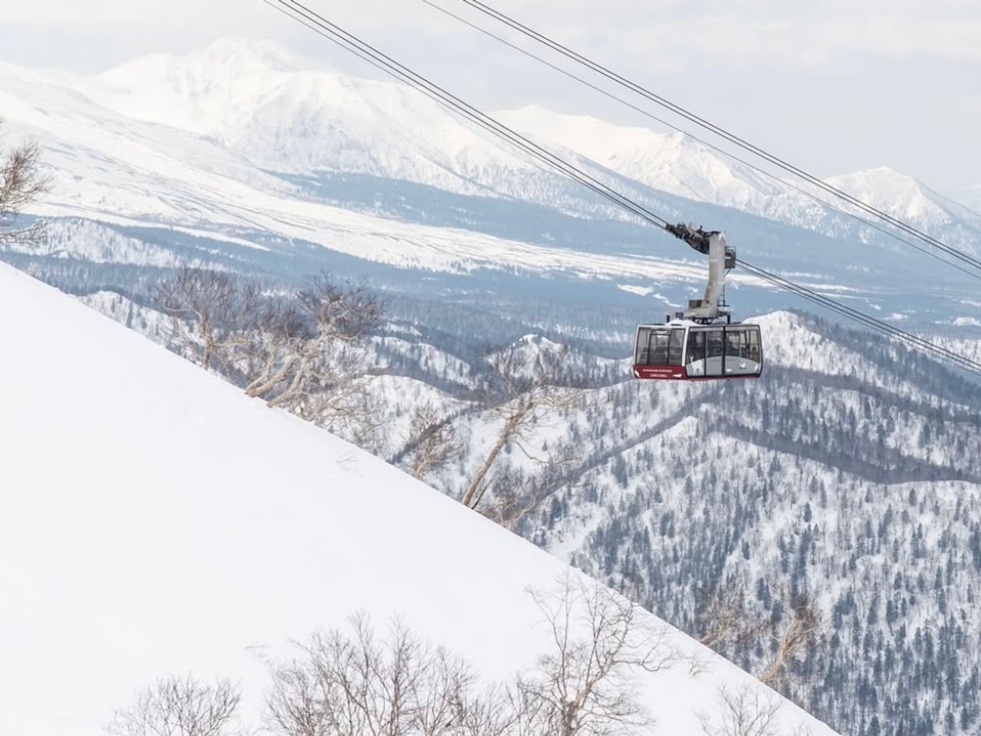 Niseko Japanese sushi chef plating