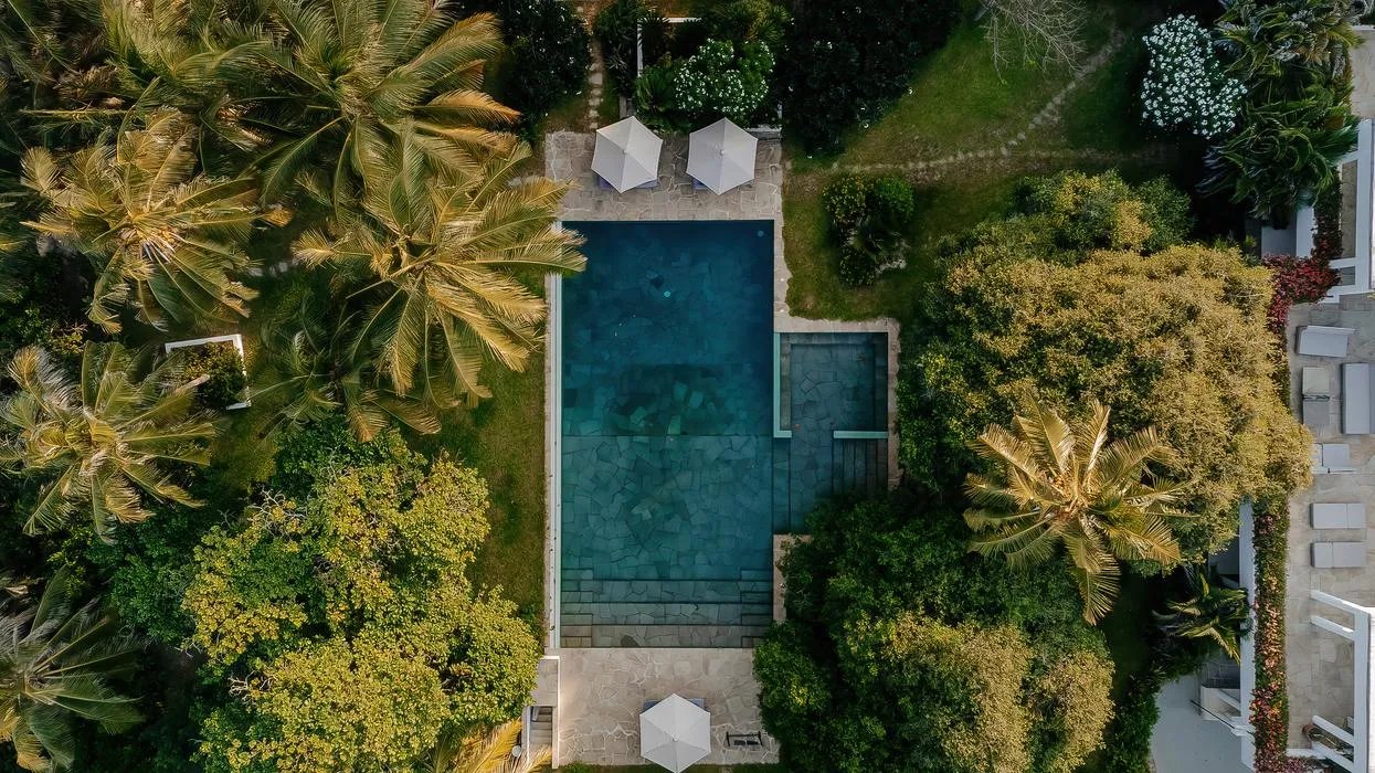 Top-down aerial of Watamu pool surrounded by palm trees